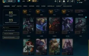 Unranked com 30 Champs e 10 Skins