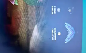 Conta de lol impecável