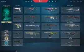 Conta Valorant ex Imortal 3 R$3000 Em Skins