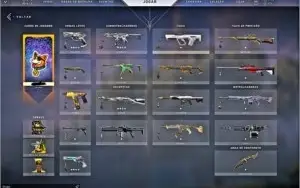 CONTA VALORANT DIMA3 VARIAS SKINS TODOS OS PASSES