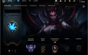 Vendo conta d2