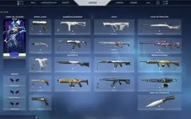 Conta NFA Valorant (28 skins, Platina 2)