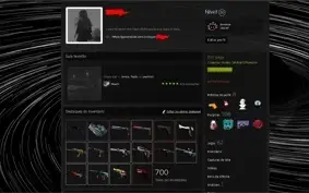 Conta de CS:GO com Trade Ban (Preço Negociável)