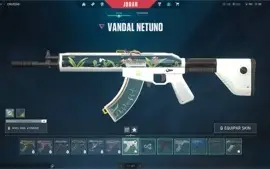 Conta Valorant Ascendente 1, Vandal Sublime, Phantom RGX,