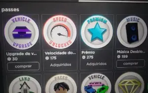 Conta gamepass Roblox blox fruit e outros jogos