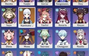Ayaka + Kokomi c1 + Shenhe + Mona + Amos AR 49
