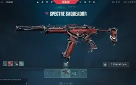 Conta VALORANT/LOL com várias skins