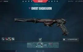 Conta VALORANT/LOL com várias skins