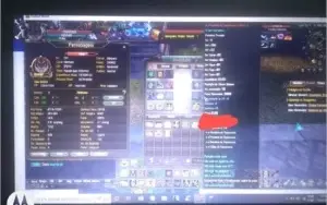 WB 200K DE FAMA LYNX