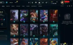 Conta lol, todos os champs, 167 skins, 82.3mil de essencias