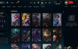 Conta lol, todos os champs, 167 skins, 82.3mil de essencias