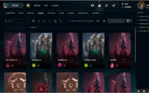Vendo Conta League of Legends LV 335