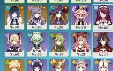 AR 51 Eula,Shogun Raiden,Yelan,Xiao+Homa,Keqing,Mona,
