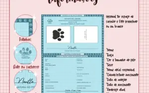 Vou fazer um documento para o seu Pet