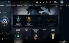 CONTA PLATINA 4