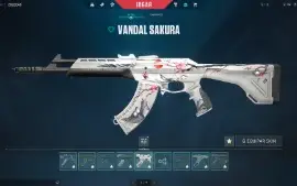 Conta De Valorant Com 3000 Reais Em Skins!