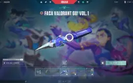 Conta Todos Agentes, 15 SKINS, Faca da JETT + Butterfly, OUR