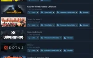 CSGO CONTA 5 MEDALHAS 499 VITORIAS CSGO1024HRS CS1.6 1615HRS