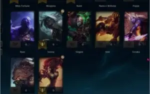 conta d4 wr alto skin lendaria udyr