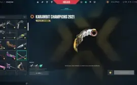 conta de valorant Full acesso Pacote champions 2021 8 mil