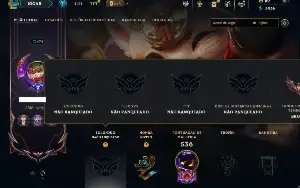 Unranked com TODOS os champs e 355 Skins ( ADC / JG / TOP )