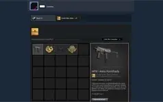 Steam Banida, 32 jogos, operação diamante no CS + 2021 medal