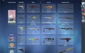 CONTA VALORANT COM VANDAL SAQUEADORA E SKIN DE FACA