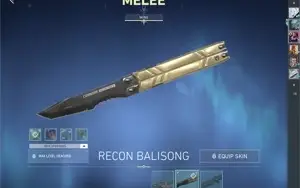 CONTA VALORANT COM VANDAL SAQUEADORA E SKIN DE FACA