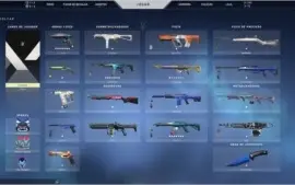 Conta valorant full skins