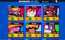 18K - 35/38 BRAWLERS