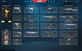 CONTA VALORANT - KIT CHAMPIONS COMPLETO - DIMA 3  +2k gastos