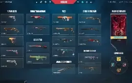Conta Valorant Fa - R$ 1.076,80 Gastos / Só Skin Tryhard