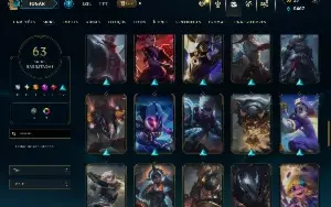 Ferro 1 com 110 Champs e 63 Skins ( TOP / JG / MID )