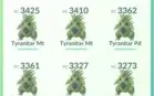 Conta pokemon go (email incluso)