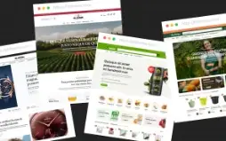 Tema Completo Para Wordpress - Blonwe WooCommerce Multiuso