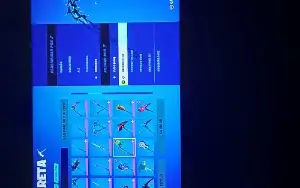 Conta de Fortnite com 245 (Incluindo Raras)