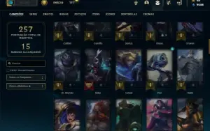 Unranked com 85 Champs e 28 Skins