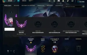 Mestre com 26 Champs e 2 Skins + 11 Fragmentos