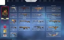 Conta Valorant com R$ +900 em skins + Prime Gaming Cards