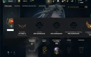 Ferro 2 com 35 Champs e 9 Skins
