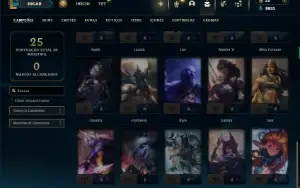 Ferro 2 com 35 Champs e 9 Skins