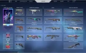 Conta valorant com muitas skins e VP // Negocio Valor