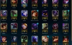 Conta Ouro V Solo e Flex / Honra 5