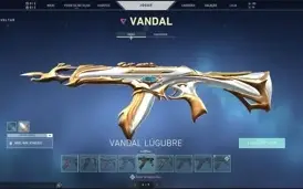 Conta Valorant Platina Varias Skins