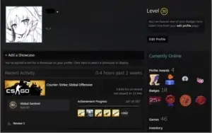 CONTA CS:GO 18 ANOS PRIME SUPREMO