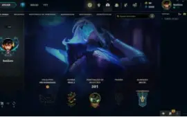 Conta de lol level 166 com 30 skins