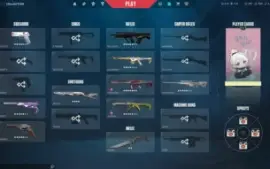 Conta Valorant Muitas Skins!! 1.300R$ Gastos