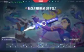Conta Valorant Ouro 3 (+ de 15 skins e 5 facas)