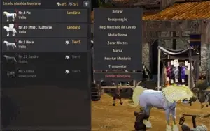 Conta Black Desert, personagens 60+, skins, mid game