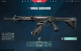 CONTA DE VALORANT COM SKINS ANTIGAS!